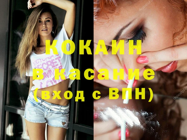 винт Алзамай