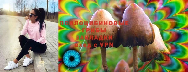 эйфоретик Алексин